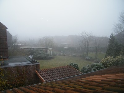 DSCF2480.JPG