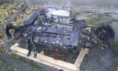 IMAG0040.jpg