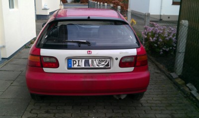 IMAG0195.jpg