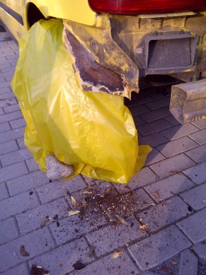 IMG-20111108-00488.jpg