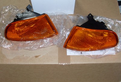 SL373600.JPG