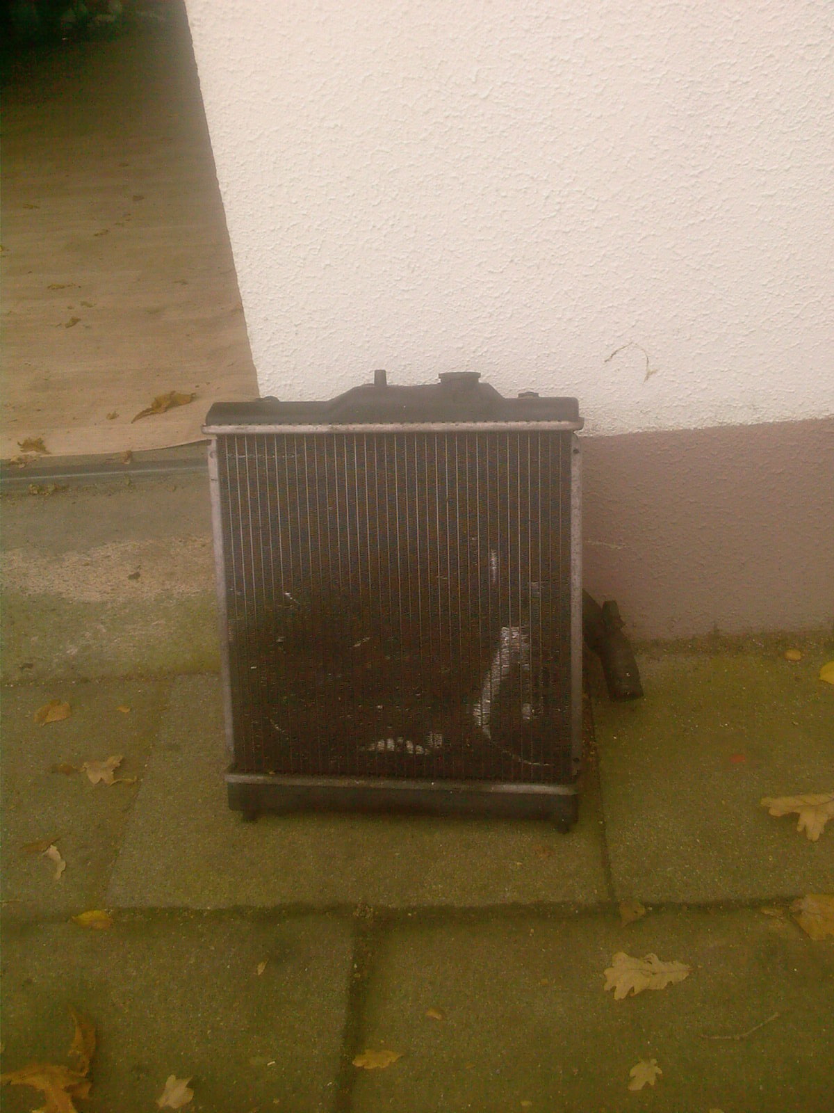 Torben -0267.jpg