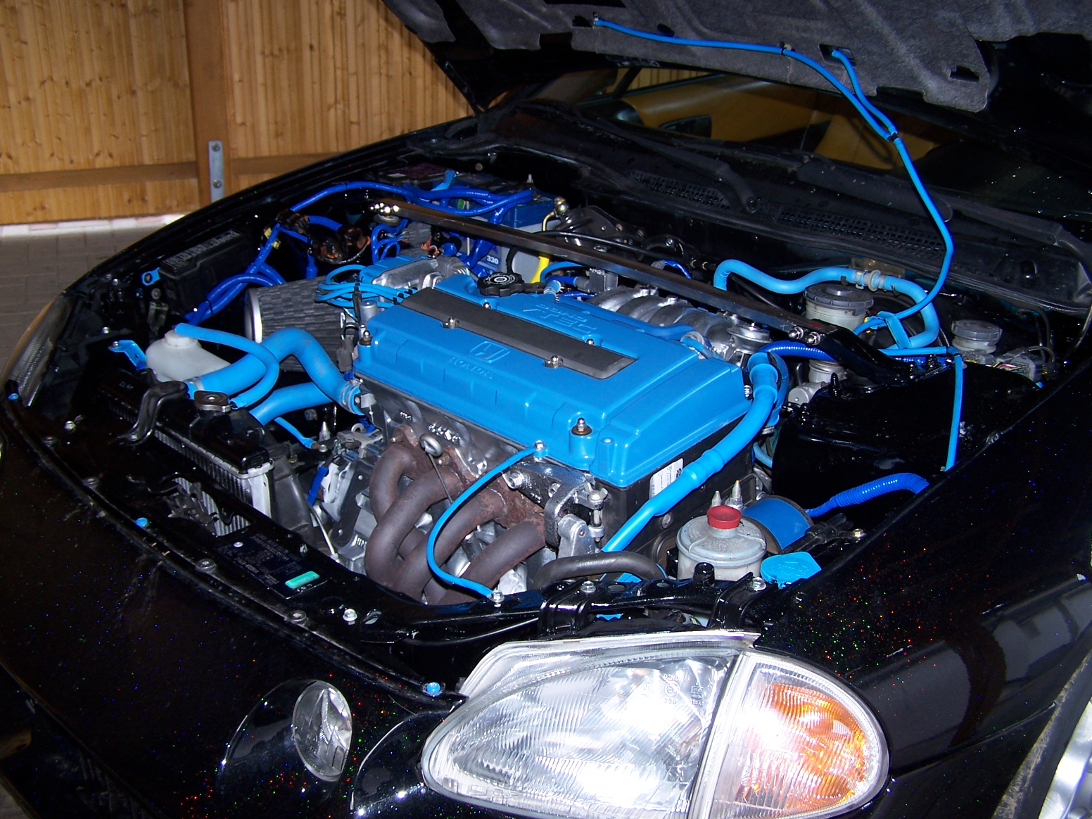 100_6451.JPG