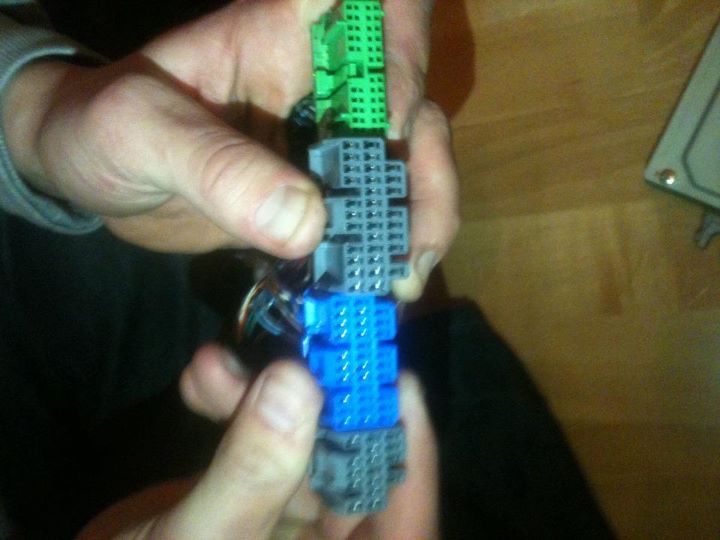 393249_2252217905554_1251454705_31856940_782883044_n.jpg