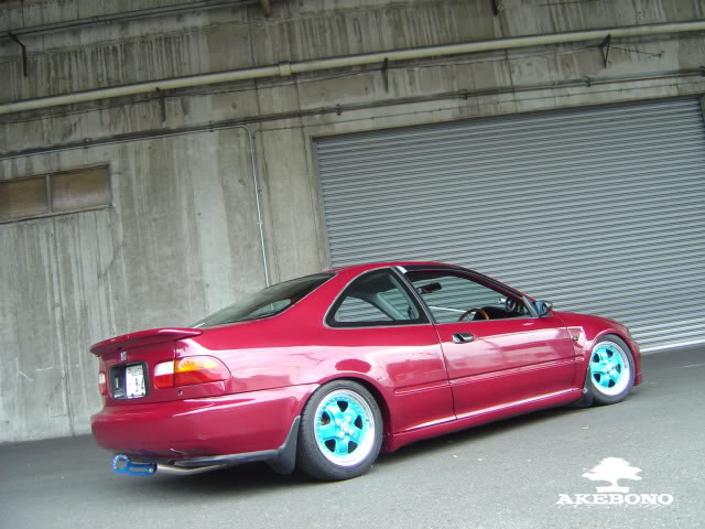 DSC04535.jpg