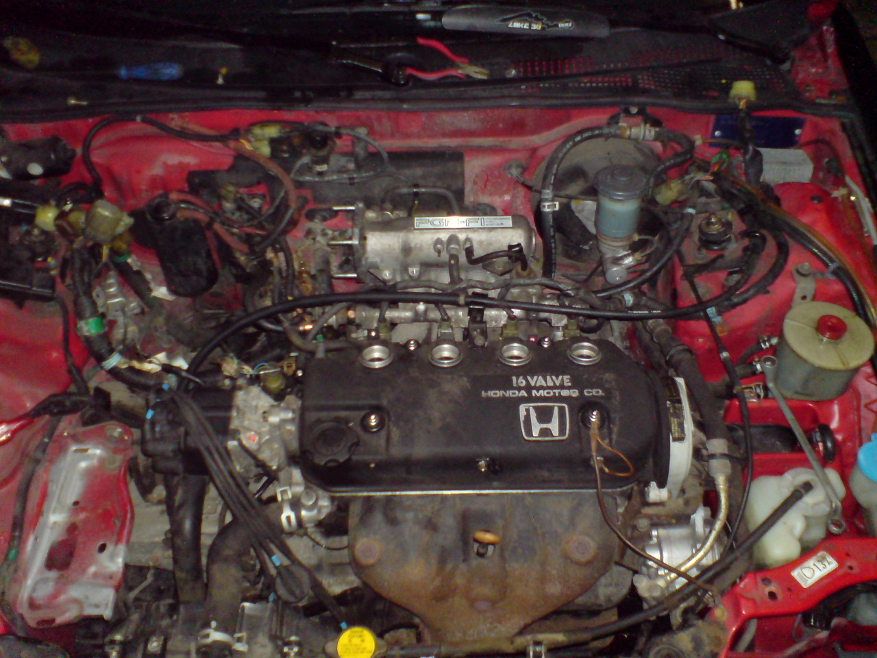 DSC06815.JPG