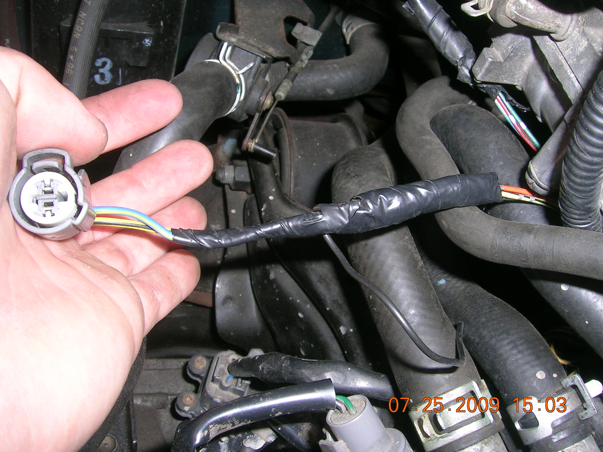DSCN1241.JPG