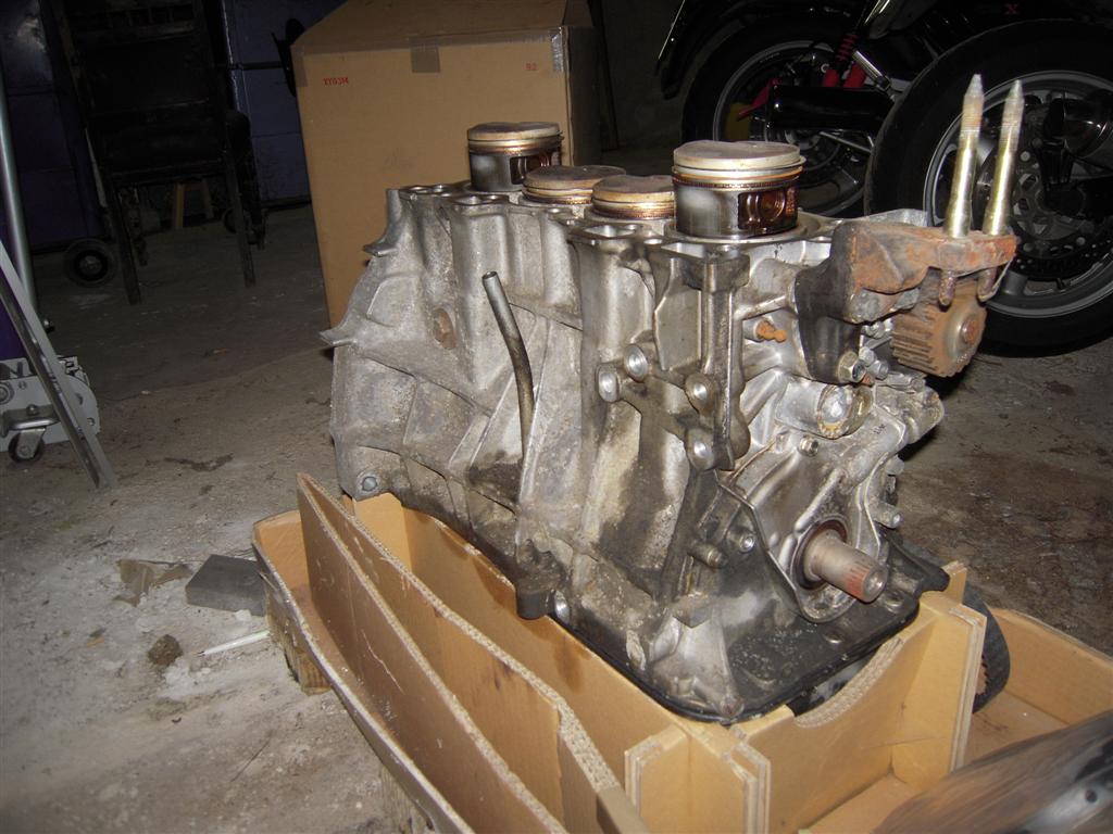 DSCN4134 (Large).JPG