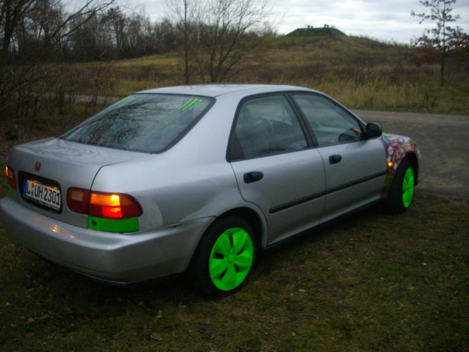 IMGP6411.JPG