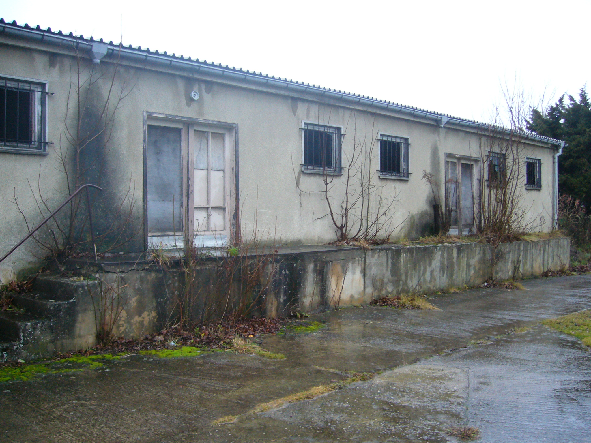 P1040153.JPG