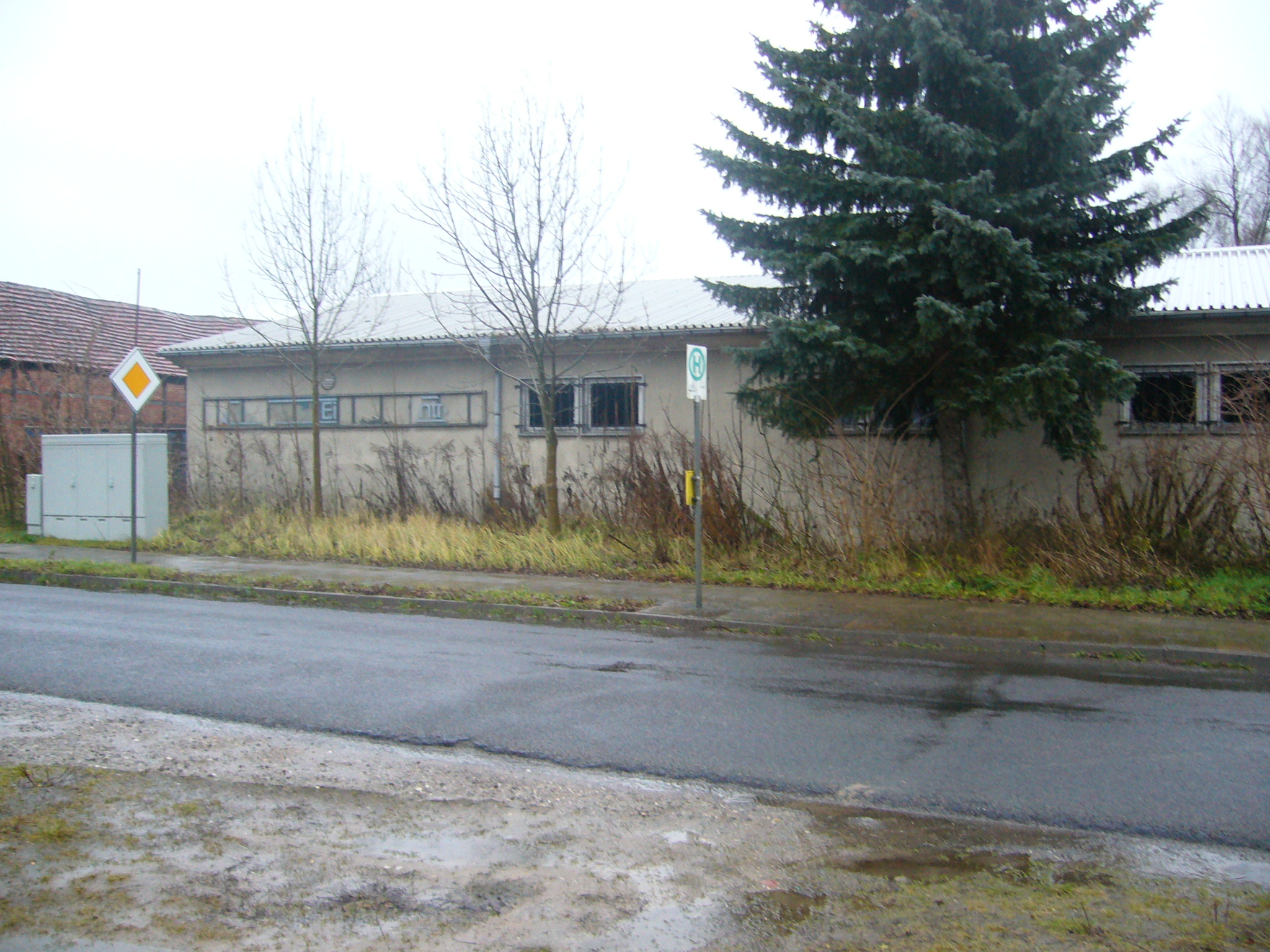P1040155.JPG