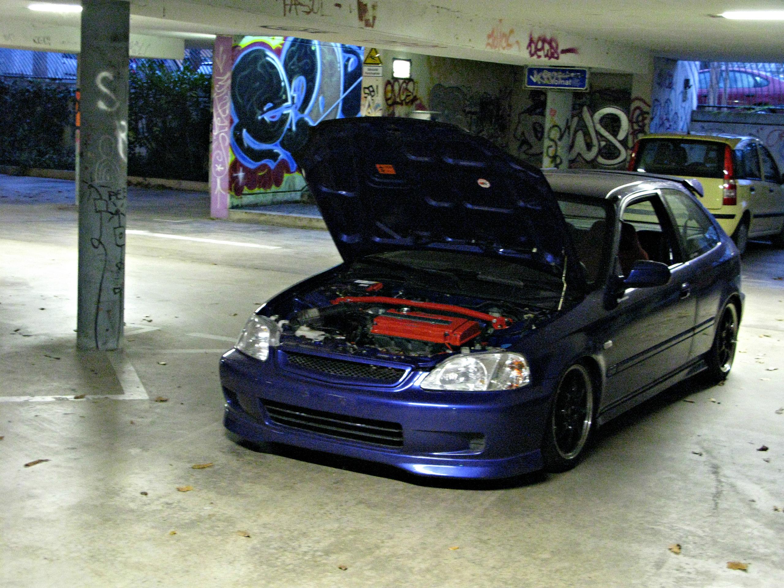 Shoot 2011-7.jpg