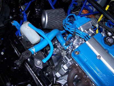 100_6455.JPG