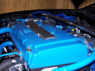100_6458.JPG