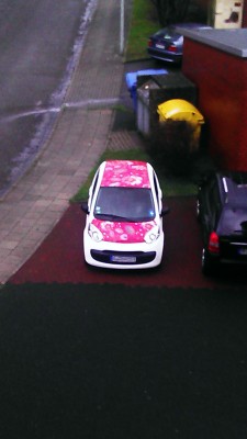 IMAG0043.jpg