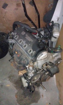 IMAG0322.jpg