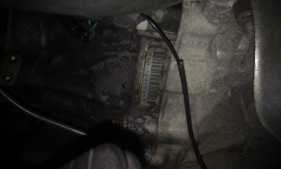 IMAG0364.jpg