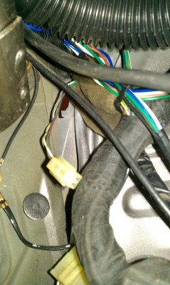 IMAG0899.jpg