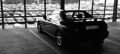IMG_0281 3.JPG