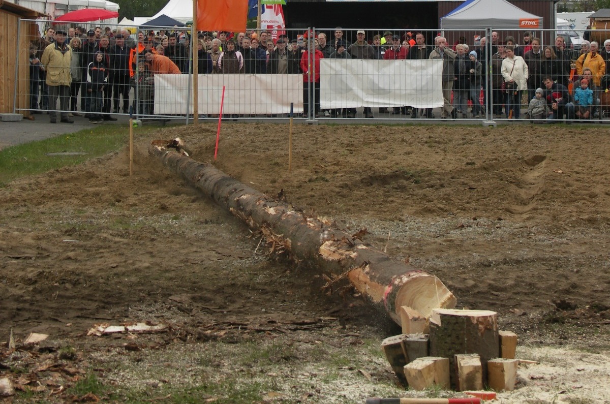 waldarbeitermeisterschaft.jpg
