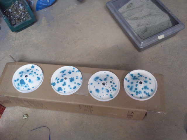 2012-01-05 21.05.06.jpg