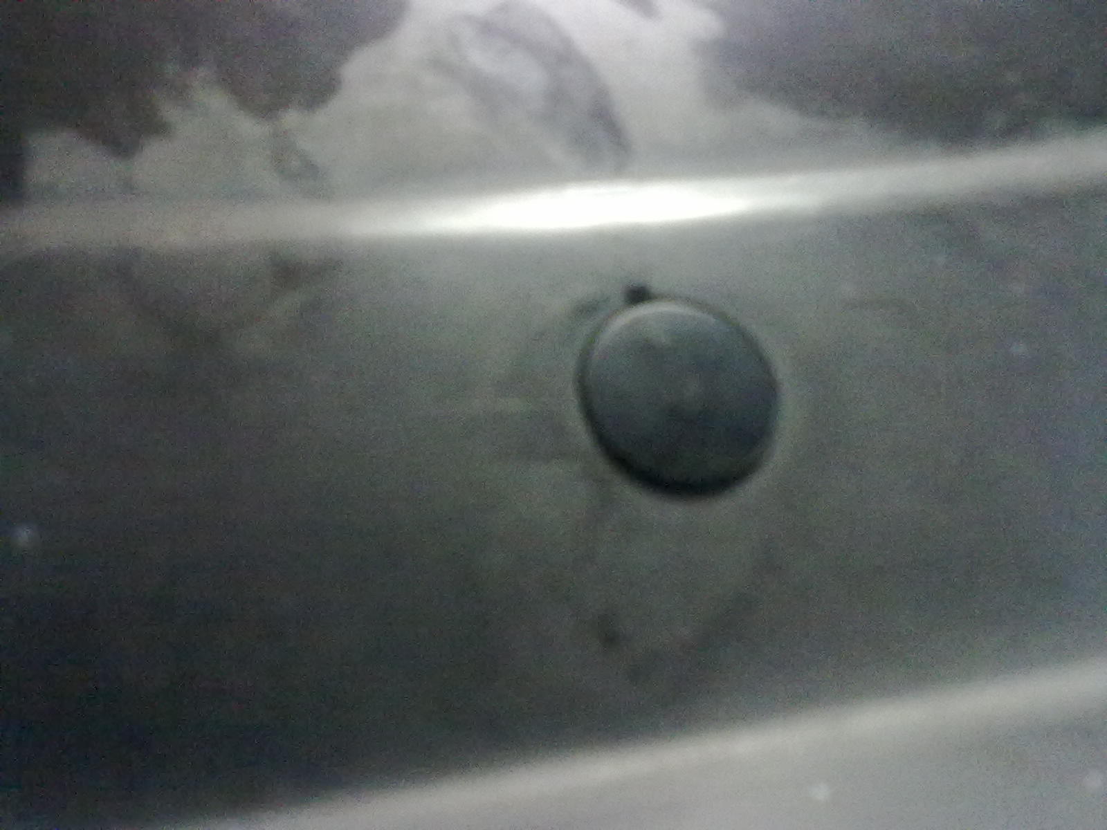 Bild1447.jpg