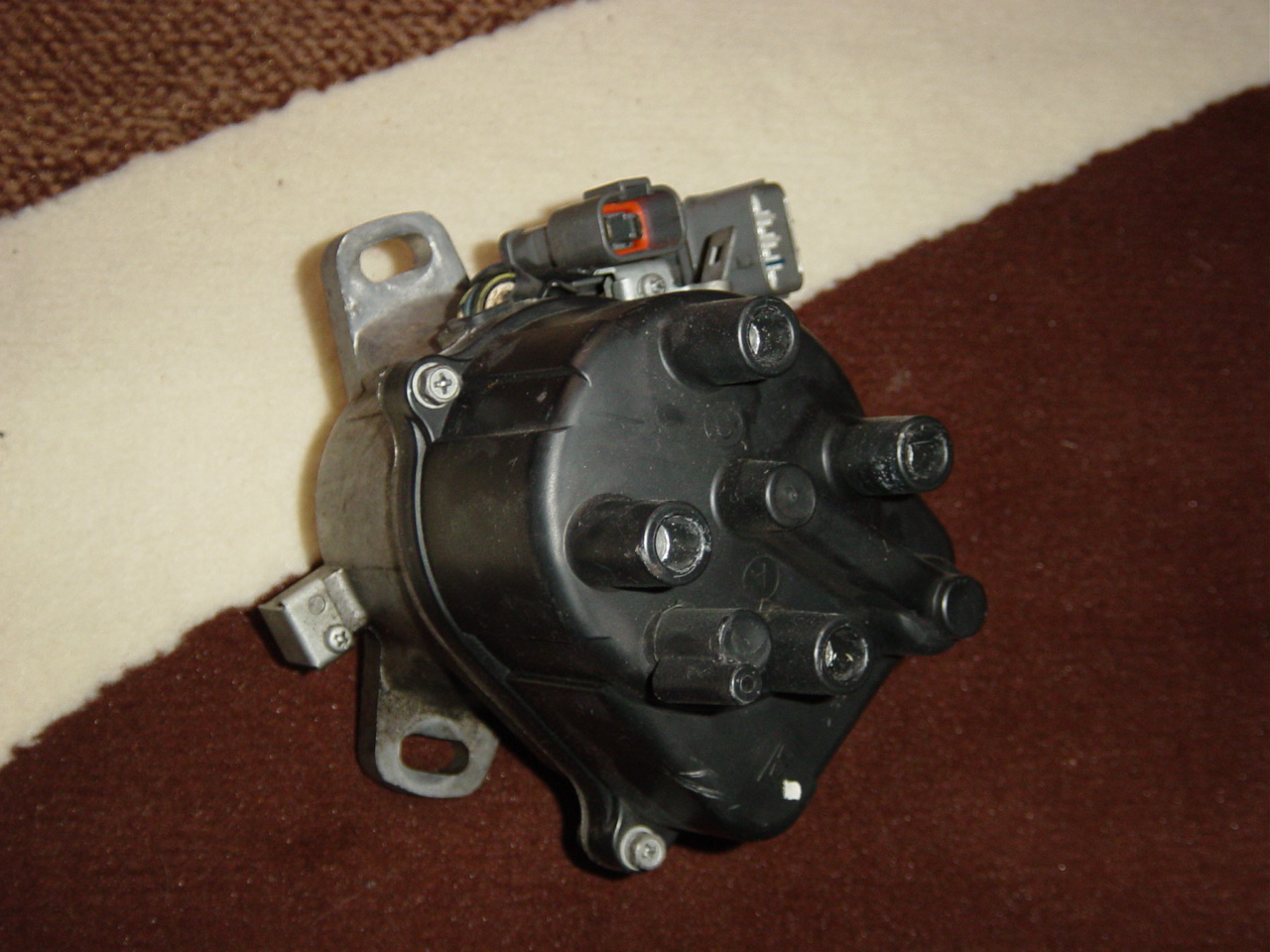 DSC06025.JPG