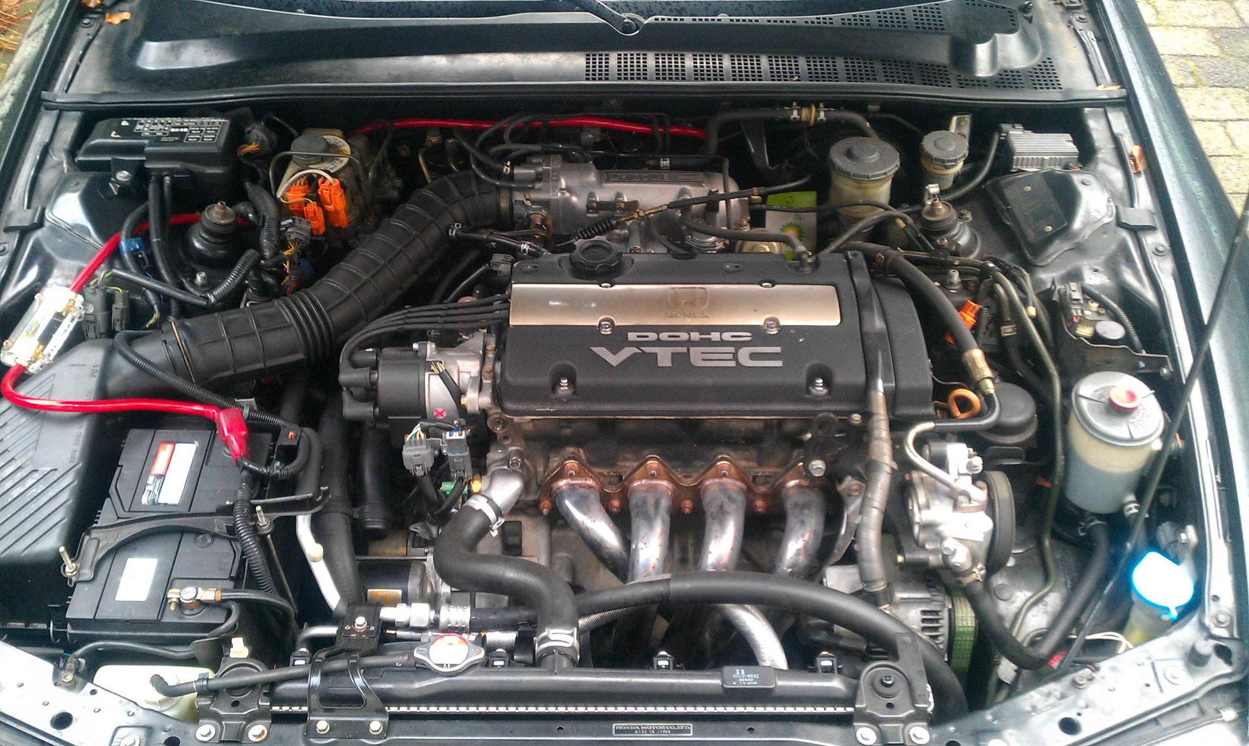 IMAG0040.jpg