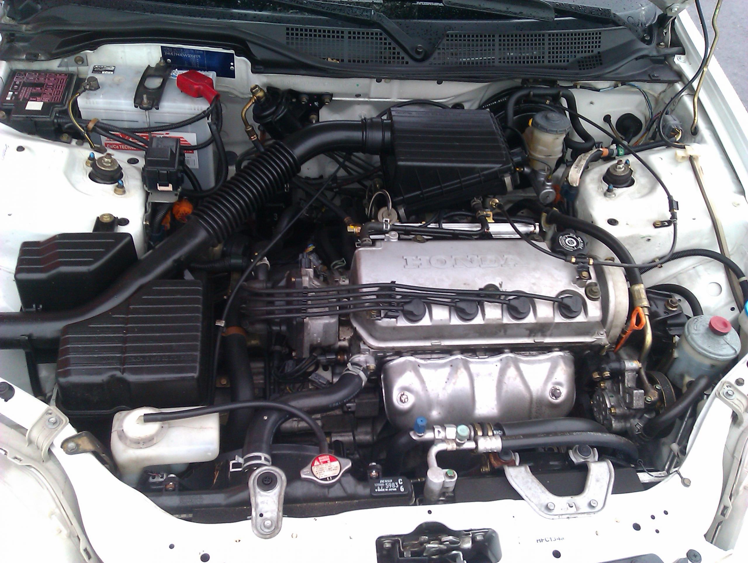 IMAG0244.jpg