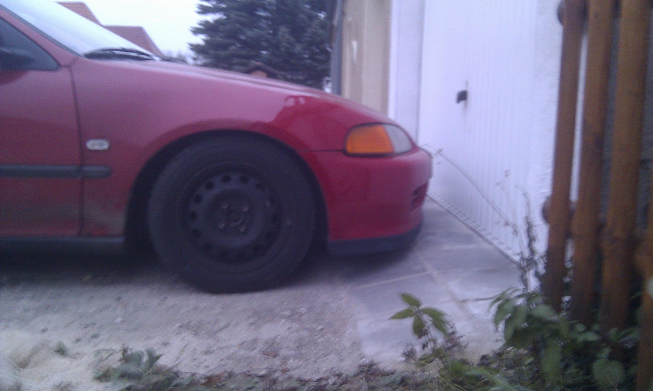 IMAG0347.jpg