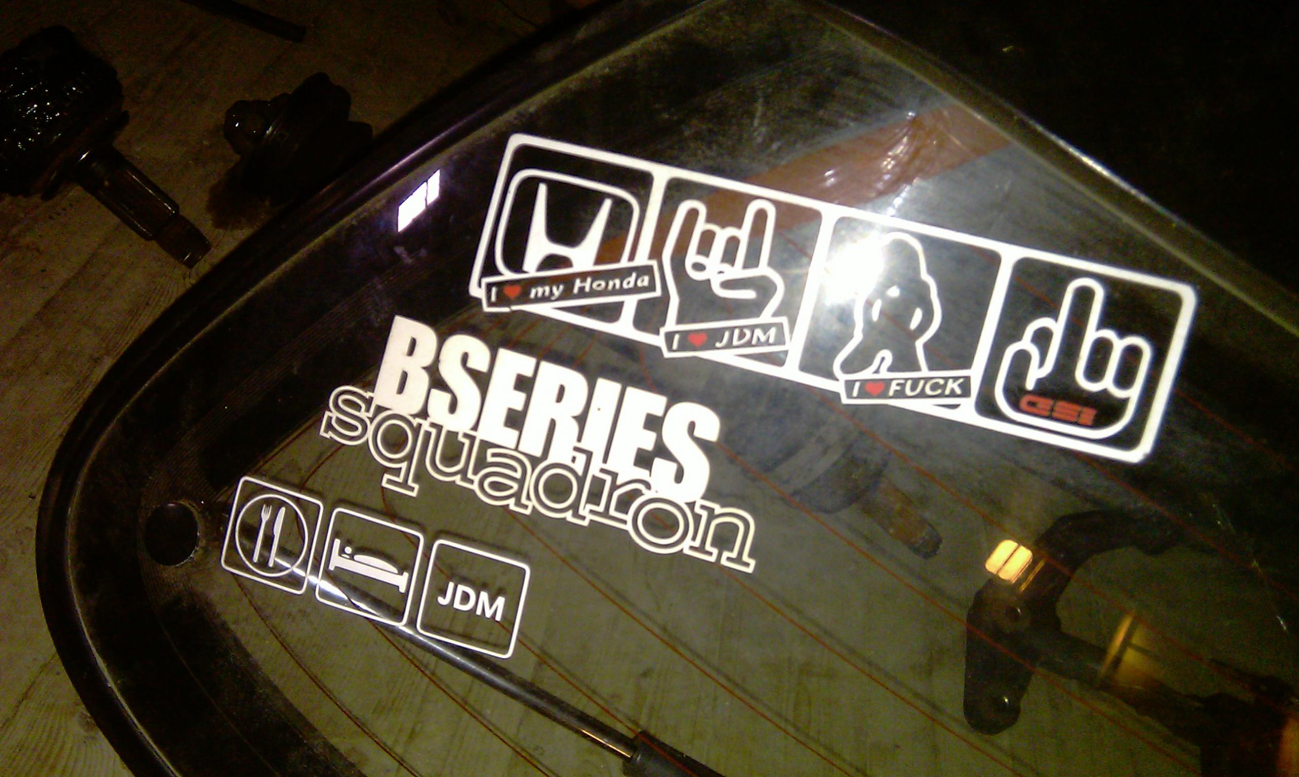 IMAG0467.jpg