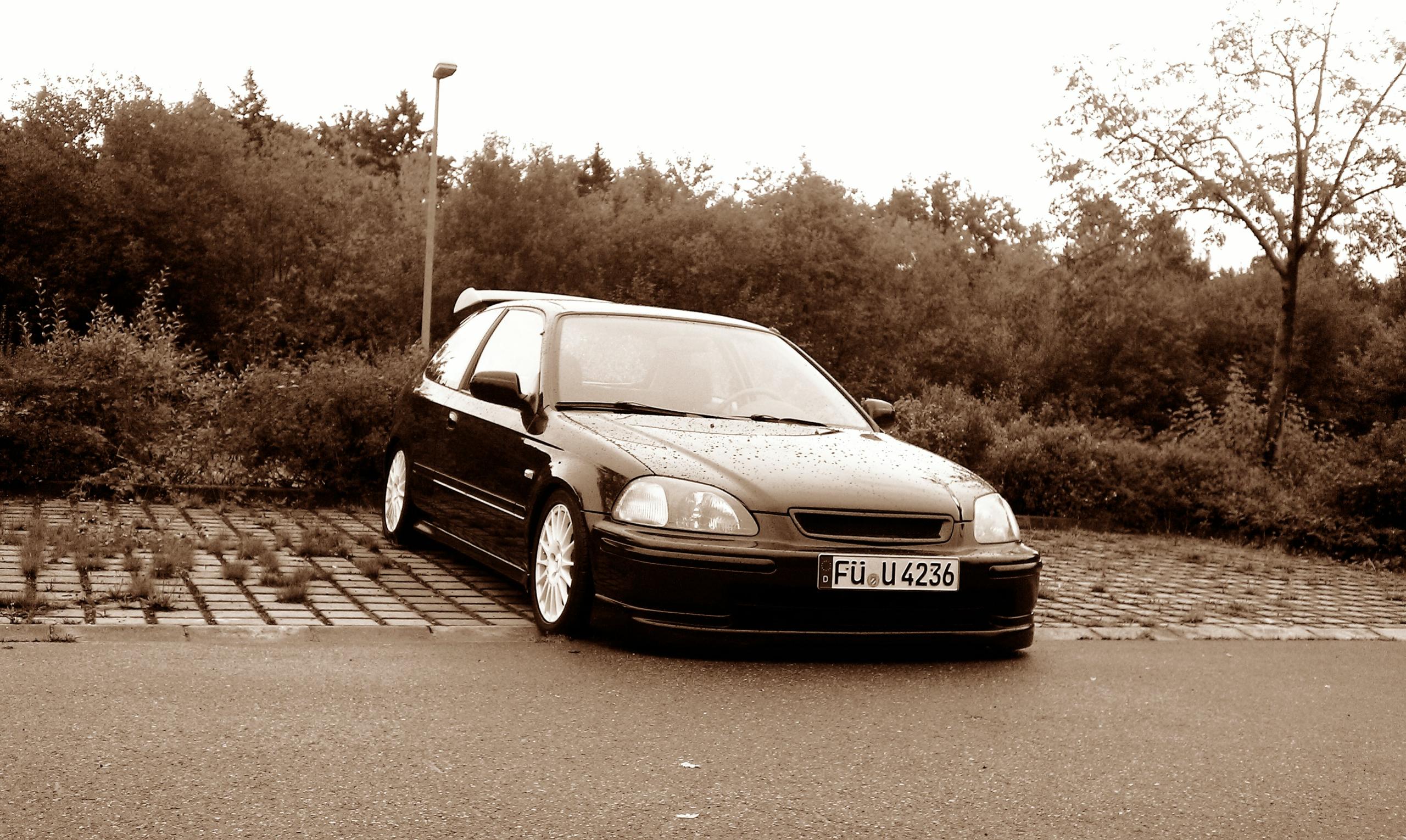 IMAG0771.jpg