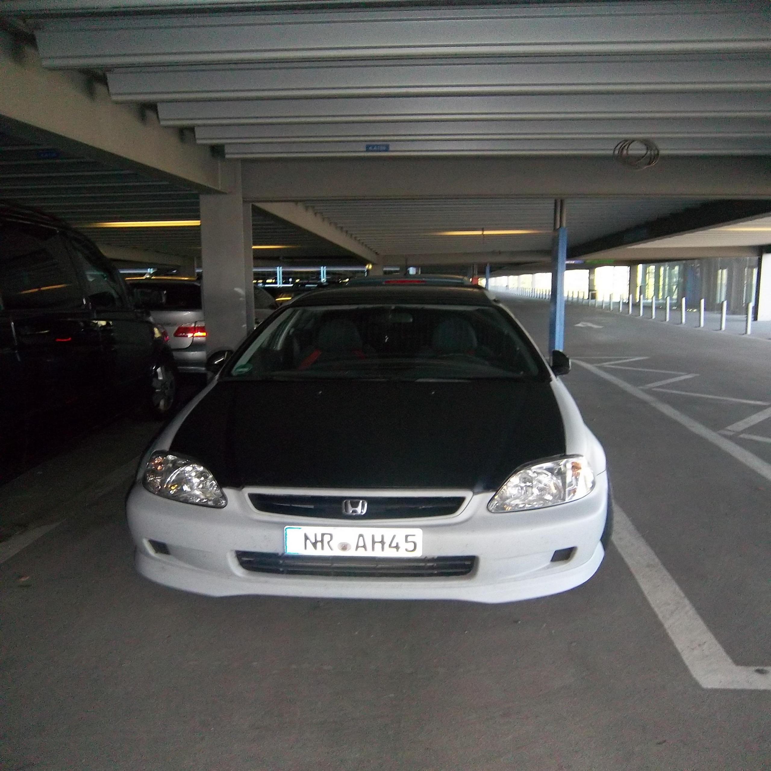 IMGP1317.JPG
