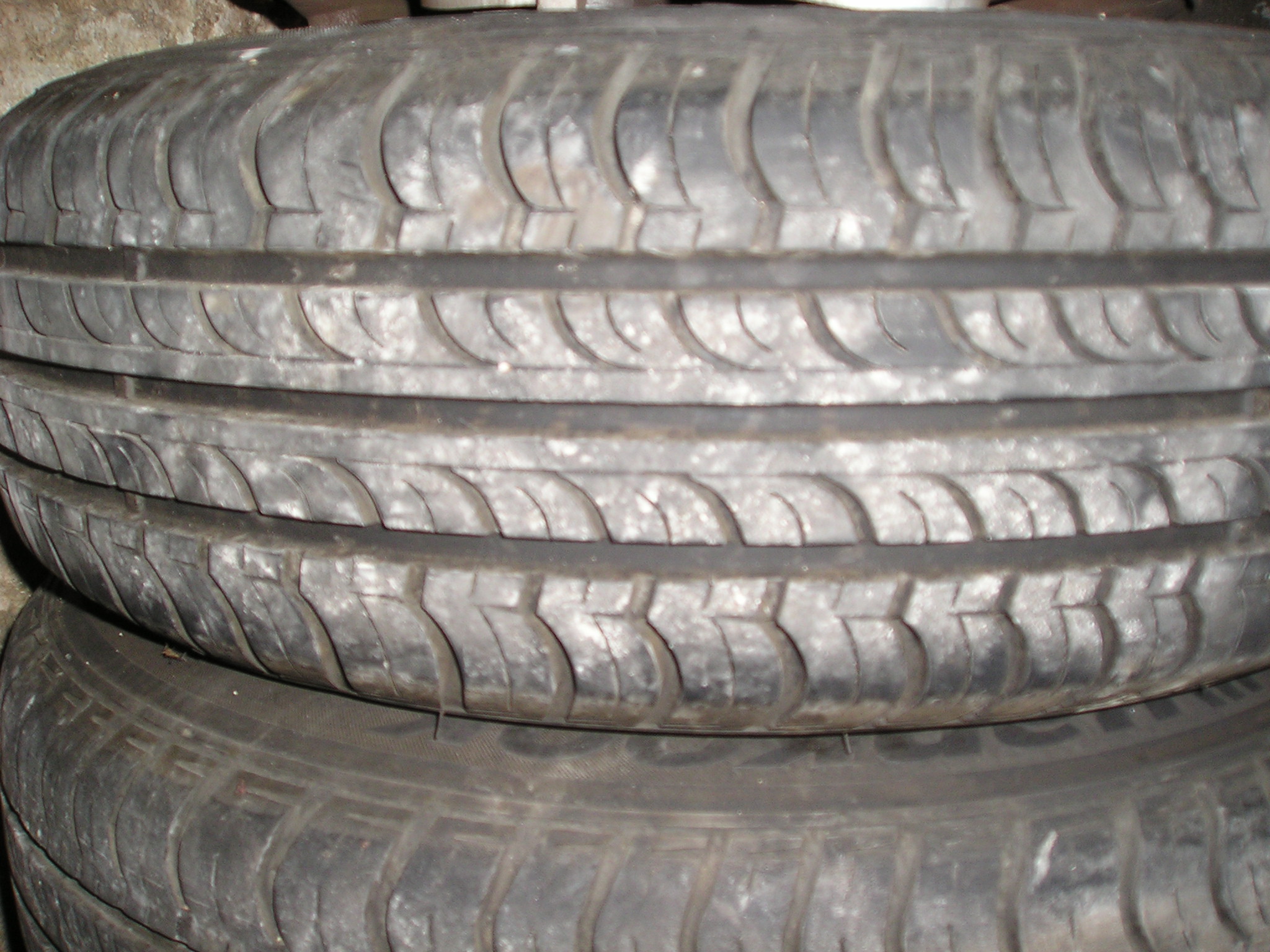 P1010066.JPG