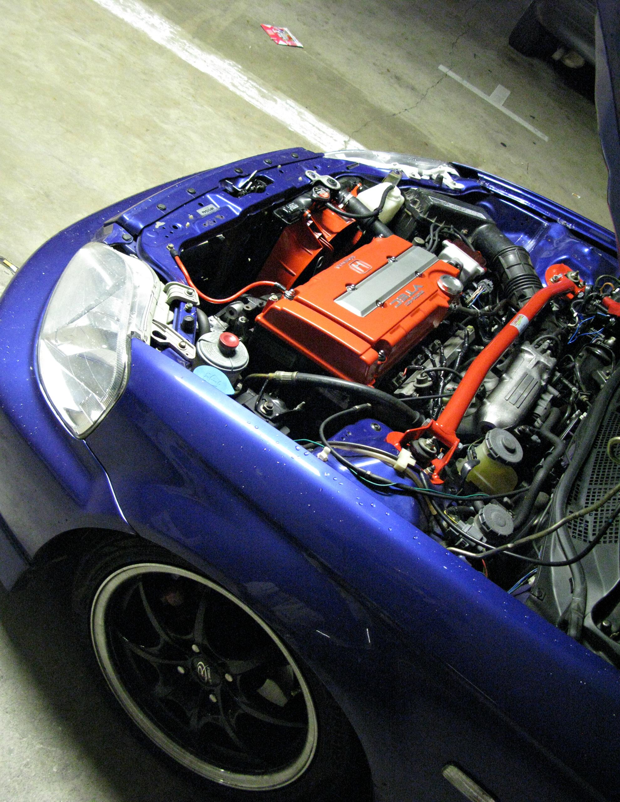 Shoot 2011 block.jpg