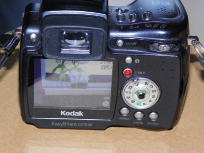 100_0071.JPG