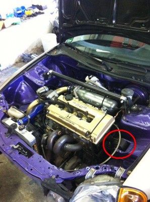 bqcv6calpw1v.jpg