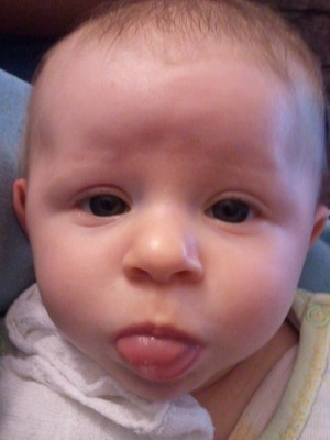 Foto0319.jpg