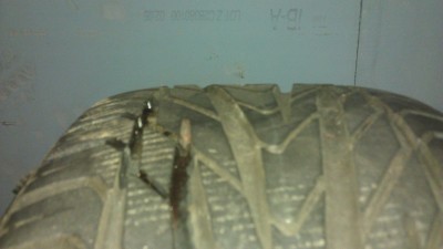 IMAG0135.jpg