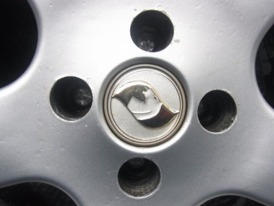 RIMG0019.JPG