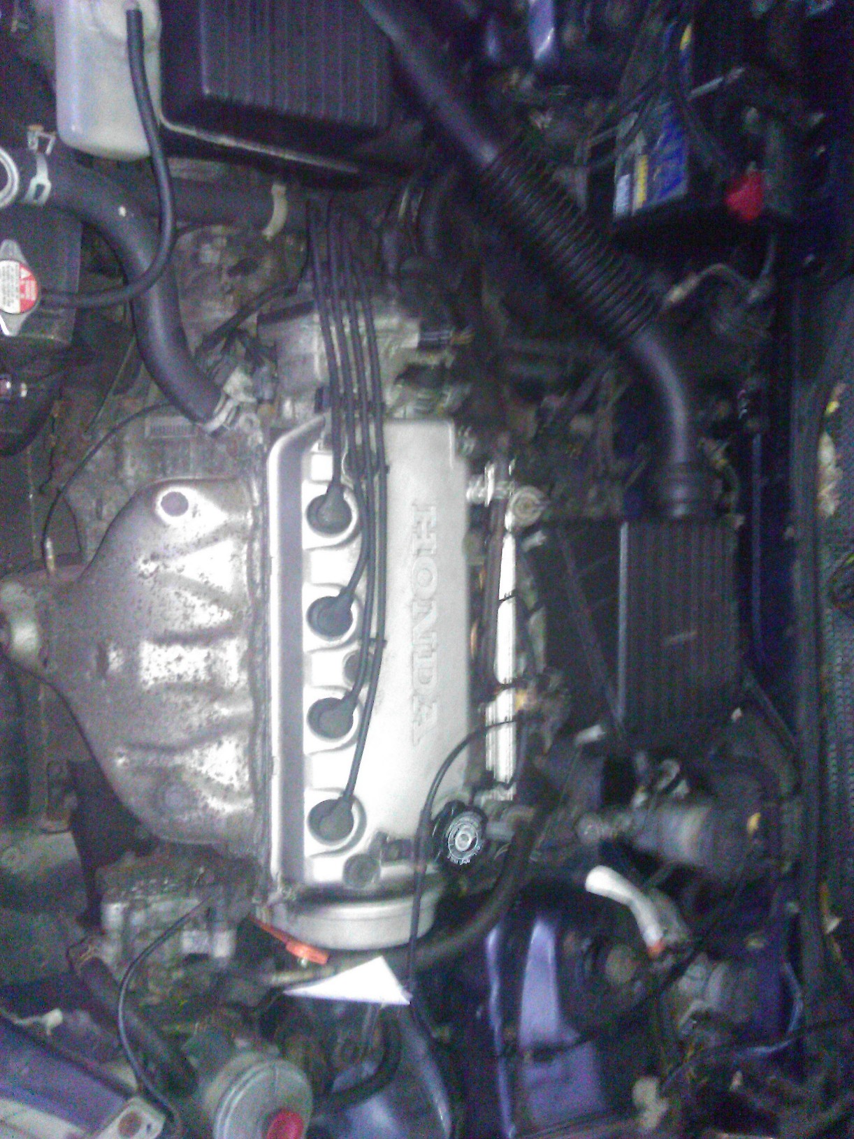 WP_000220.jpg