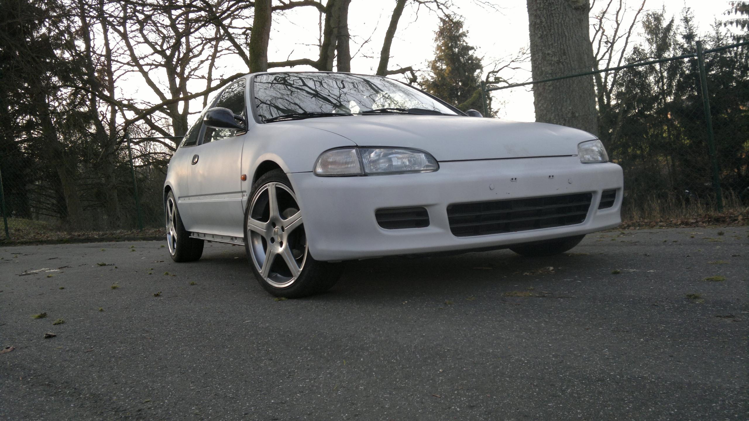 04022012774.jpg
