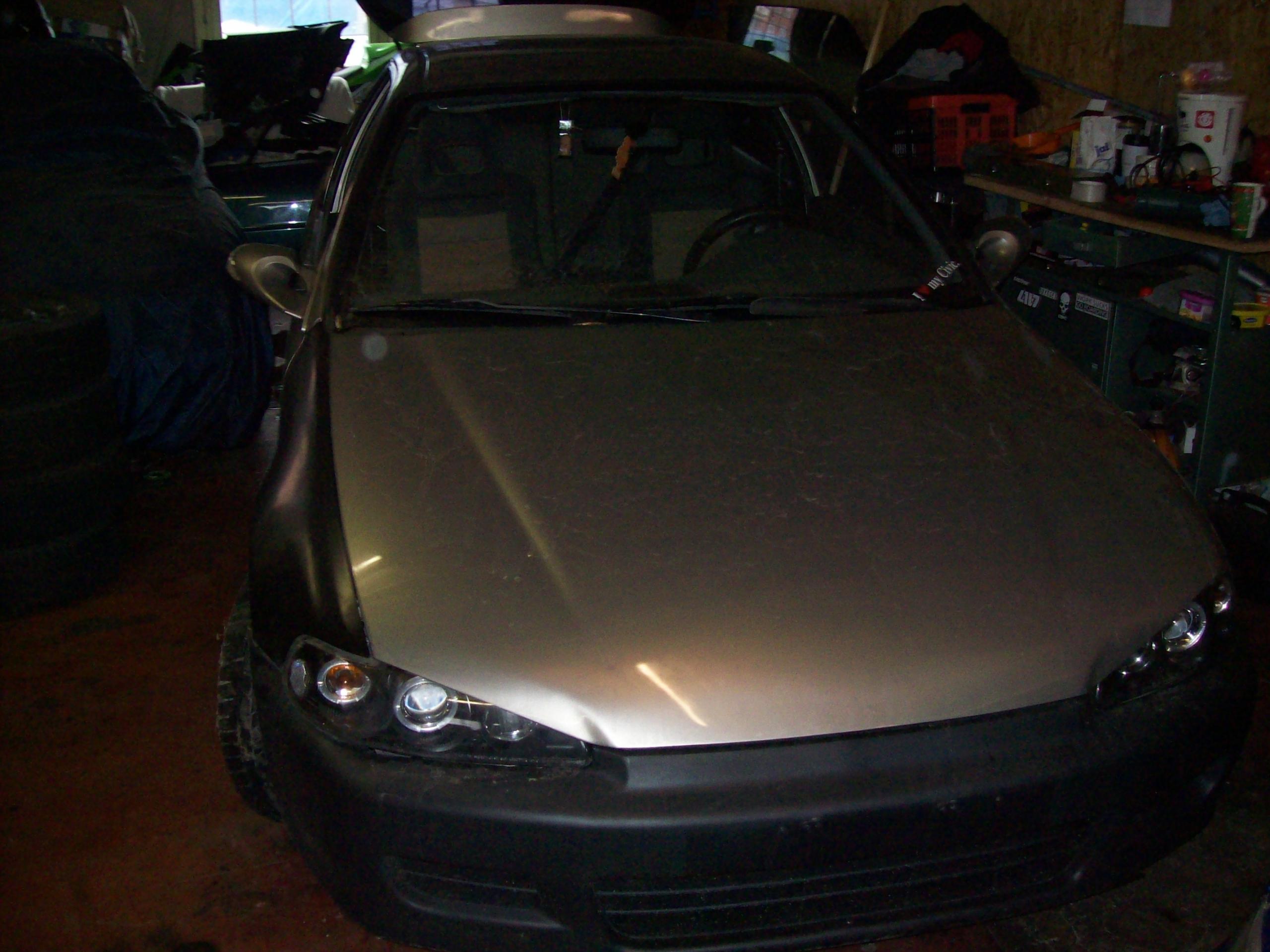 100_3264.JPG