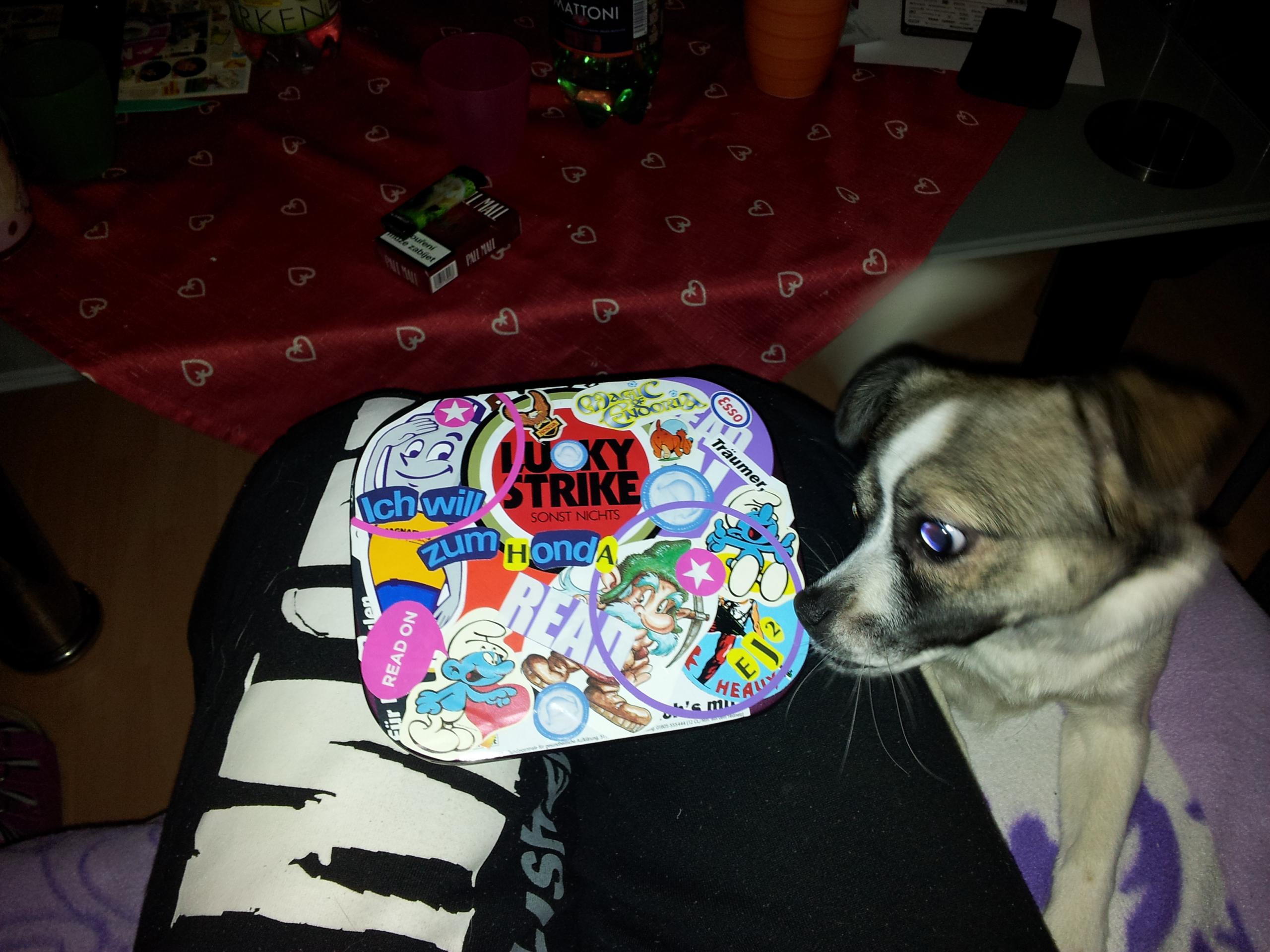 2012-02-08 22.09.28.jpg