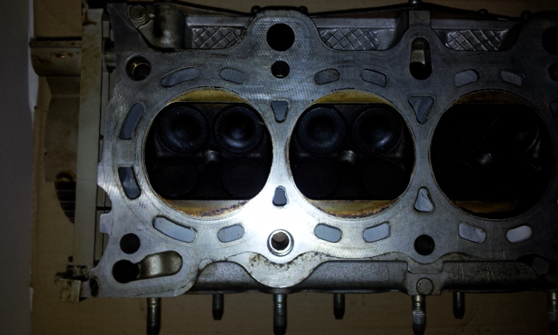 2012-02-13 17.52.25.jpg