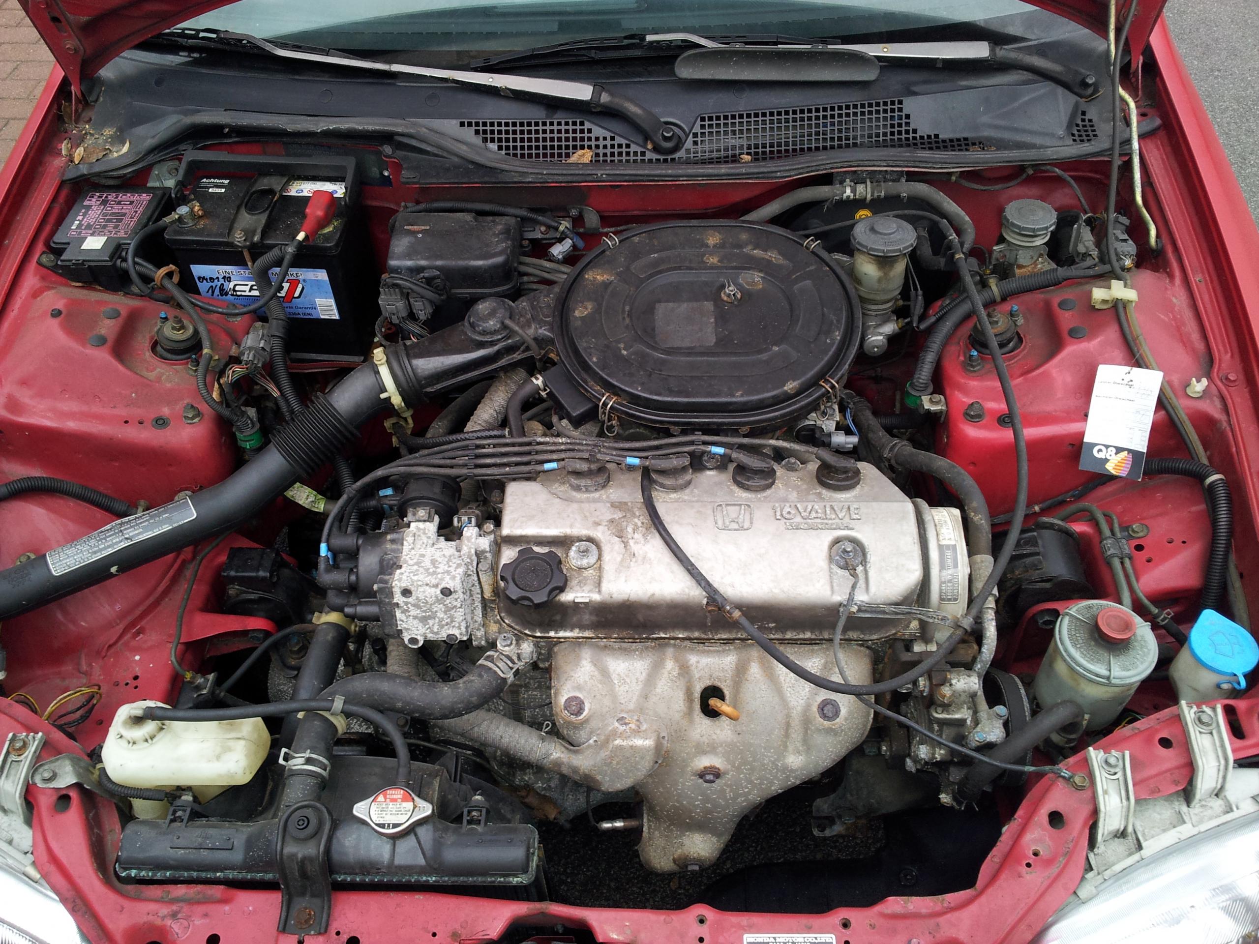 2012-02-18 15.42.40.jpg