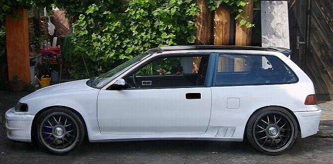 civic_cr.jpg