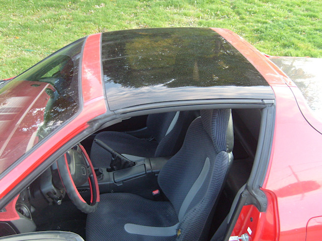 del sol glasdach.jpg