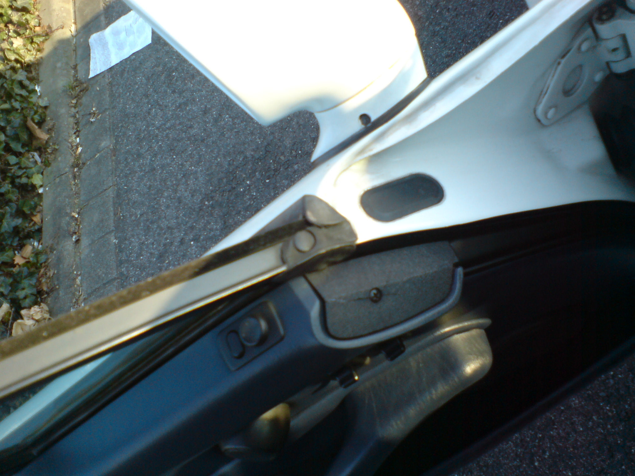DSC00001-1.JPG
