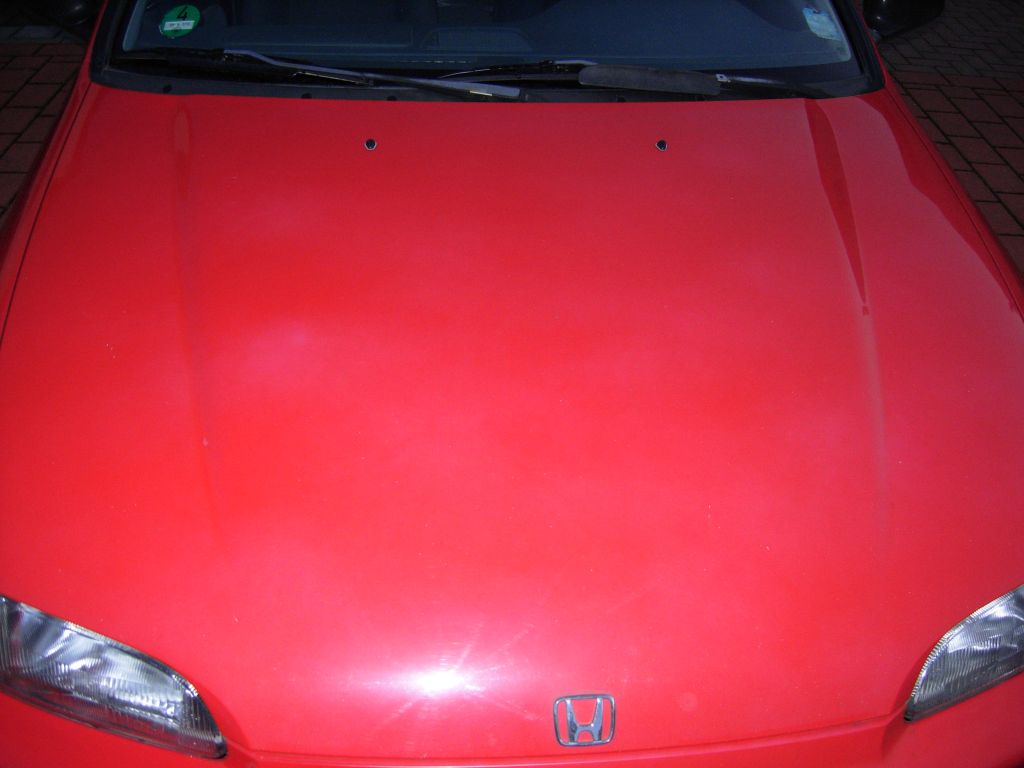 DSCN3365.jpg